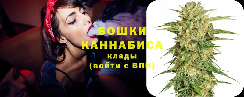 Канабис Bruce Banner  Бологое 